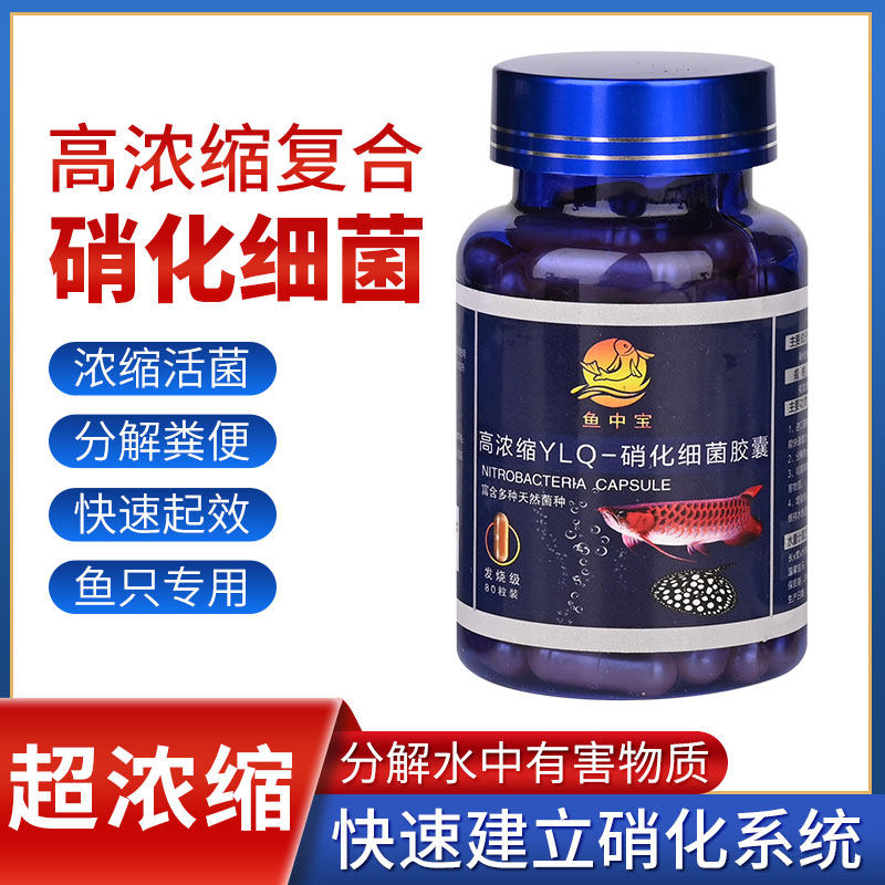 硝化细菌胶囊鱼缸硝化活菌硝化细菌粉鱼缸用活性水族箱硝化菌胶囊