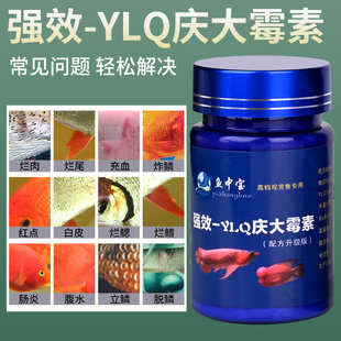 鱼用庆大霉素黄粉亚甲基蓝锦鲤金鱼热带鱼烂腮烂尾炸鳞白点白毛