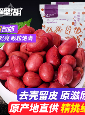 九鲤湖 红皮花生 原味去壳花生仁 生花生 红衣花生仁红花生米250g