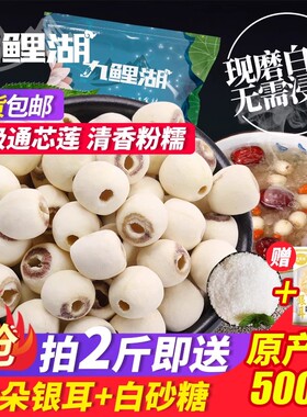 九鲤湖莲子500g磨皮通心白莲干货去芯莲特产无芯莲百合银耳莲子羹