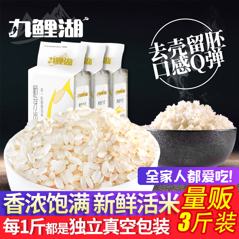九鲤湖胚芽米东北大米留芽米新米粳米500g*3袋