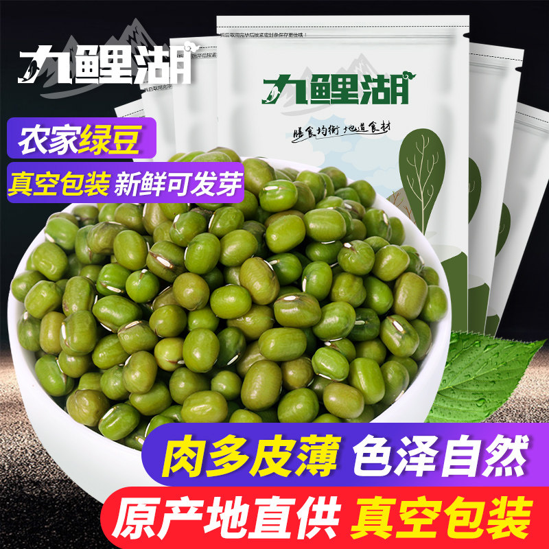 九鲤湖绿豆500g*6新鲜农家绿豆颗粒饱满粮油肉多皮薄五谷杂粮粗粮