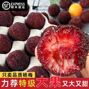 特大果浙江仙居杨梅新鲜东魁杨梅鲜果孕妇水果96颗礼盒装现摘现发