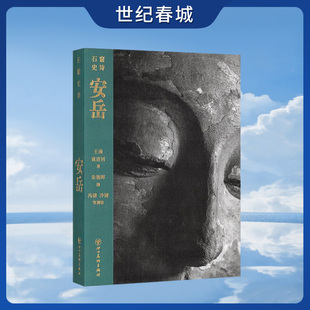 安岳 石窟史诗系列 驻足岁月更迭中的石窟一刻 追寻千磨万击下的灵光流动 读库 王南 袁进钊DX