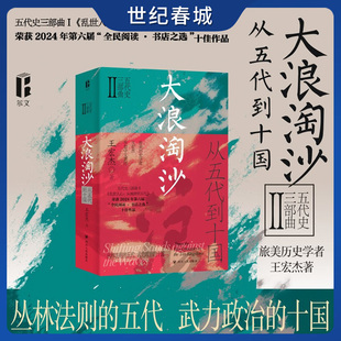大浪淘沙 从五代到十国 王宏杰五代史三部曲系列 一部生动而富有深度的乱世长卷 一幅反映人性的丰富画卷 五代十国史SR