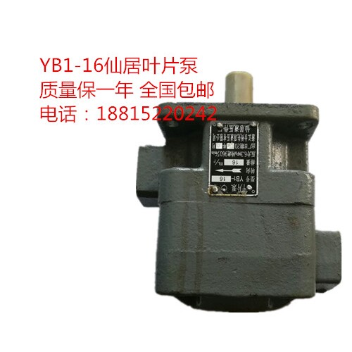 YB1-16叶片泵 油泵 仙居先顶质量保一年