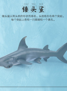 锤头鲨海洋动物玩具仿真模型生物世界儿童认知3鲸鱼海豚海龟鲨鱼6