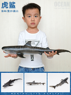 虎鲸逆戟鲸大鲸鱼鲸鲨虎鲨仿真玩具模型海洋动物超大软胶儿童男孩