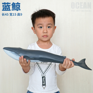 大号蓝鲸玩具鲸鱼须鲸海洋深海哺乳动物剃刀鲸软胶充棉柔软3软体6