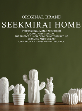 北欧家居电视柜装饰工艺品陶瓷仙人掌摆件道具 真多肉植物盆栽