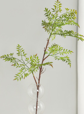 新品现代北欧ins景观造景装饰网红植物南天竺假植物客厅装饰假花