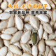 云南农家南瓜子正宗老品种毛边南瓜子大粒生南瓜子 饱满大颗粒