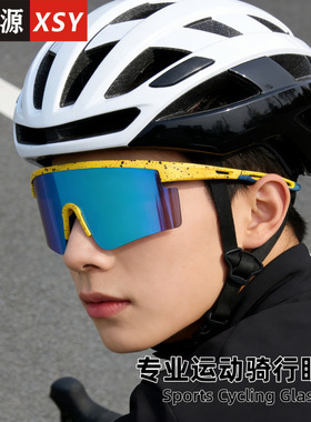 探野者鑫圣源太阳镜男户外运动骑行墨镜大框徒步登山护目遮阳眼镜