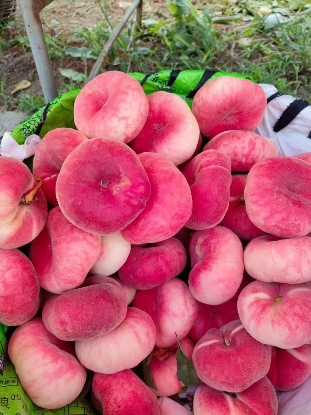 现摘正宗平谷蟠桃红蟠毛蟠正宗平谷大桃水蜜桃软桃孕妇水果礼盒装