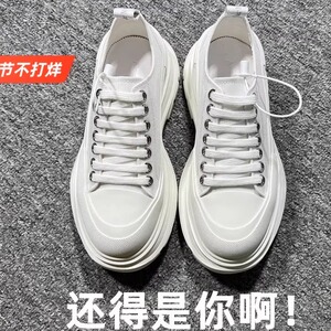 2024新款候鸟麦昆帆布小