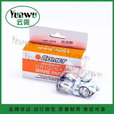 高压柱塞泵COMET彗星TW5050,TW11025,TW8036,TW14022单向阀配件