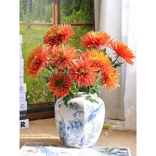 包邮 烟花菊鲜花 水养插花室内居家观赏花材顺丰 鲜切花 新鲜真