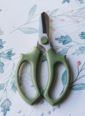 花艺剪刀鲜花修剪花枝花卉剪刀绿色ins花艺师专用剪刀单拍发中通