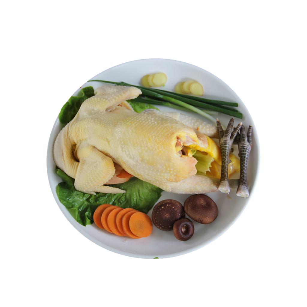 正宗土鸡农家散养3年老母鸡苏北草鸡自养活鸡现杀月子鸡笨鸡