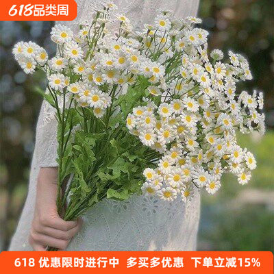 洋甘菊仿真花美甲拍照道具干花