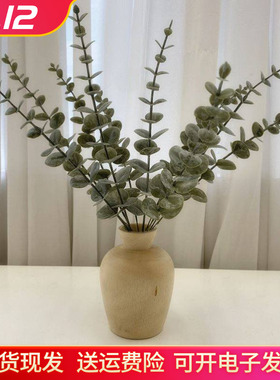 复古金钱叶枝ins小清新仿真尤加利绿植摆件插花假花北欧房间家装