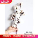 10头天然棉花枝自然干花仿真花家居装 饰婚庆插花假花拍照道具复古