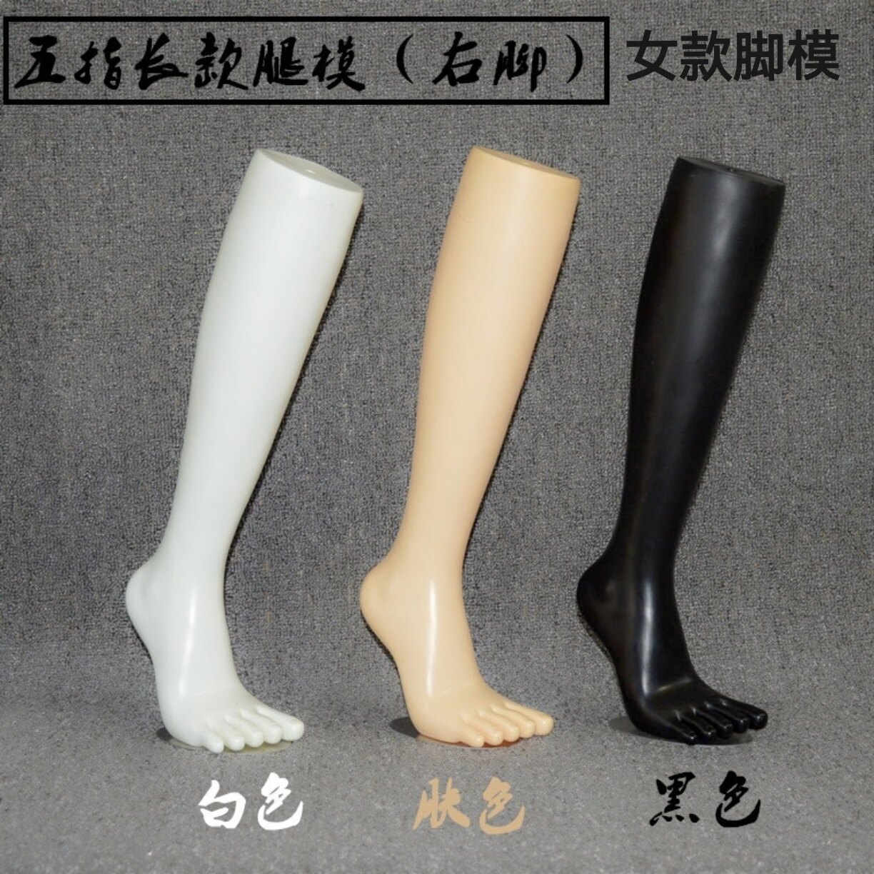 五指袜脚模中长款腿模男女袜展示模特拍照道具分脚指模型塑料脚模