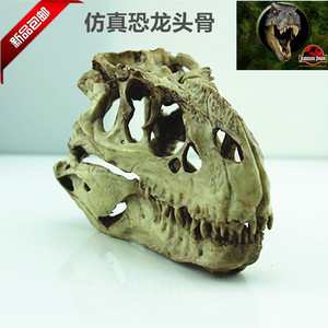 鱼缸装饰 水族箱造景鱼缸摆件 造景 水草造景 恐龙头骨 树脂头骨