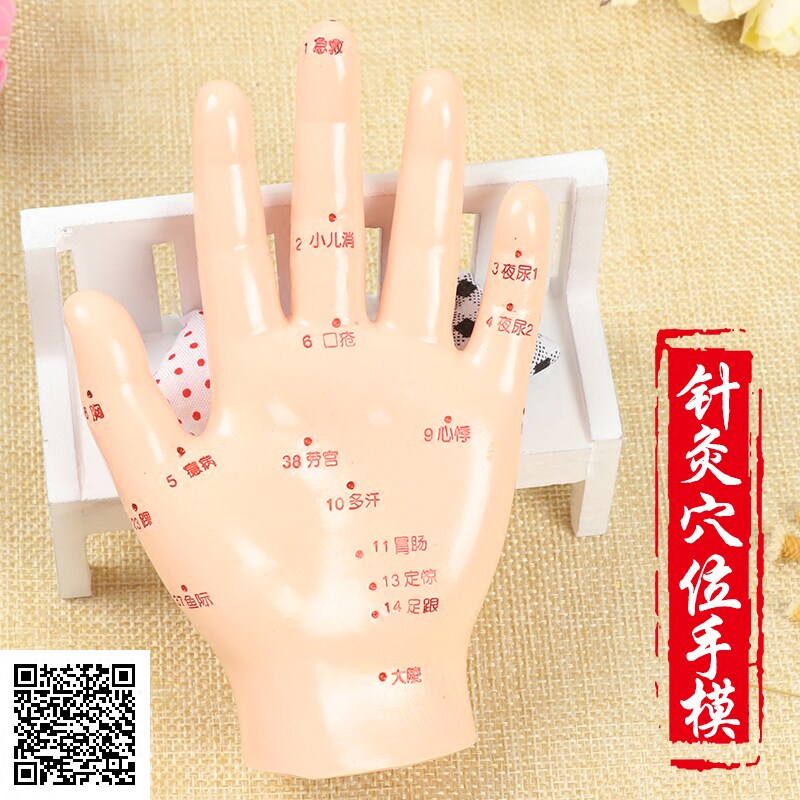 伟叶针灸穴位手模型 高清刻字版人体针灸练习手模型手部穴位图解