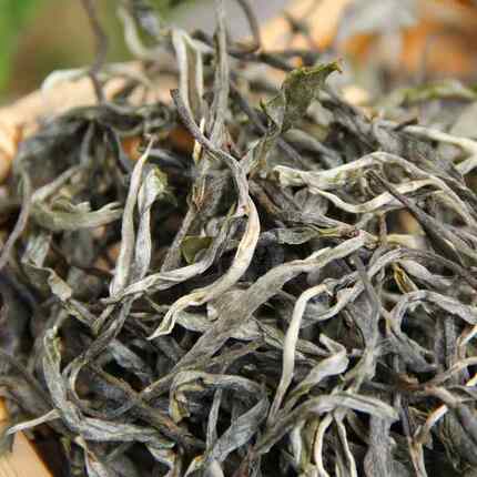 小户赛普洱茶生茶散茶2026年头春云南临沧普洱生茶古树纯料茶250g