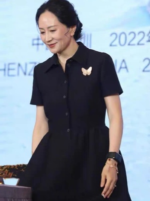 晚舟同款赫本风黑色连衣裙女夏2023法式收腰显瘦气质小个子衬衫裙