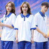 初中高中学生校服套装 蓝白色上衣网红同款 短袖 匆匆那年校服polo衫