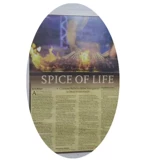 Брендовый модный постер, журнал, европейский стиль, популярно в интернете, английский