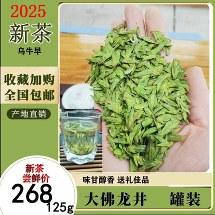 2026明前特级早茶高山绿茶大佛龙井茶新昌本地直供新茶叶罐装125g
