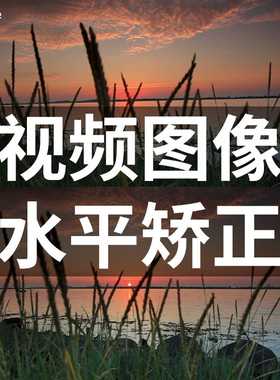 FCPX中文插件Leveler视频图像画面水平矫正效果