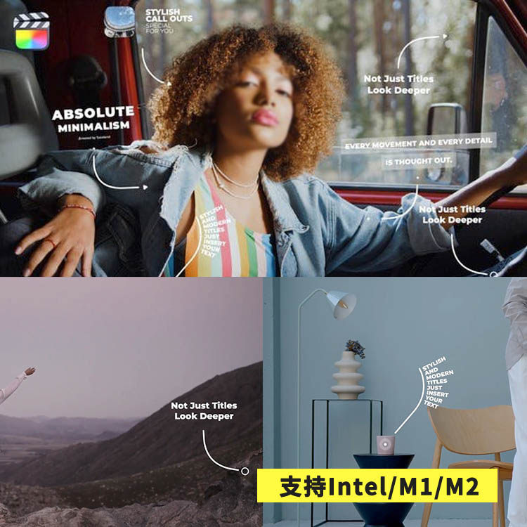 FCPX插件Unique Call Outs曲线线条呼出字幕标题动画预设