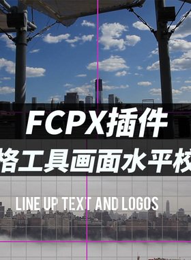 FCPX插件LEVELER图像画面水平校正网络工具参考线