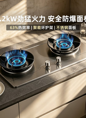 Haotaitai不锈钢防爆猛火燃气灶