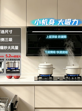 Haotaitai油烟机小尺寸小户型推