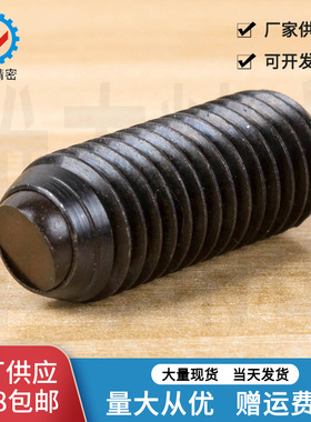 定位珠半圆定位珠螺丝 角座型锁紧螺丝无弹簧FSM M8M10M12现货