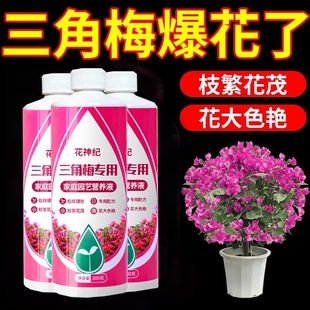 三角梅专用营养液植物营养液盆栽家用花卉养花促开花发黄掉叶肥料