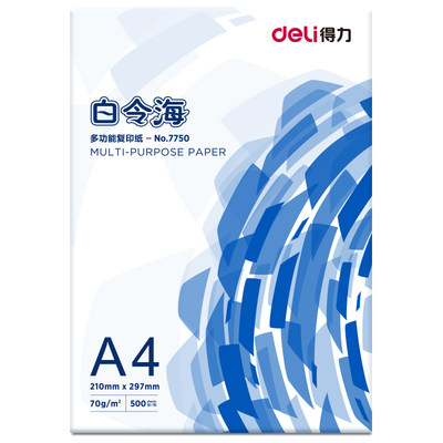 得力白令海A4复印纸70g70克打印白纸办公用品纸整箱5包装 草稿纸