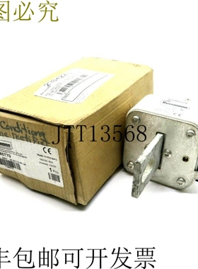 原装供应BUSSMANN 170M6770 陶瓷保险丝 600V 1800AMP