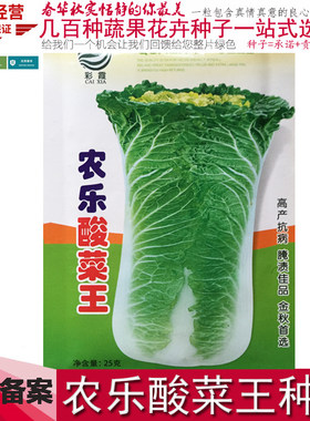 东北大白菜种子储藏冬季农乐酸菜王腌制酸菜鲜秋季种植蔬菜种籽孑
