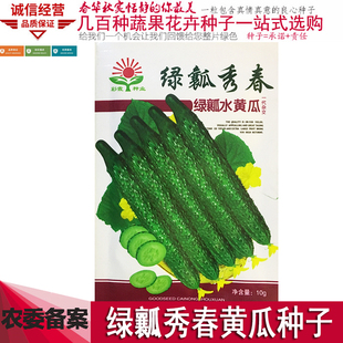 黄瓤黄瓜种籽绿黄瓜菜籽东北水黄瓜阳台盆栽蔬菜种子孑水黄瓜种子