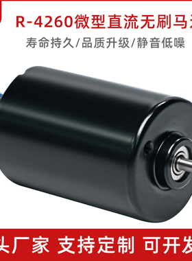 厂家直销R-4260微型直流无刷永磁减速电机霍尔驱动高速马达12v24v