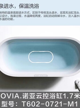 恩仕NOVIA诺亚云控智能按摩独立式恒温成人浴缸亚克力T602-0711