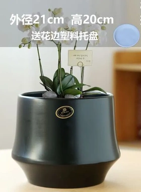 带托盘蝴蝶兰风黑色绿植盆陶瓷家用透气盆栽特价清仓奶油简约花盆