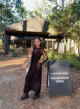 26早春度假复古收腰长袖波点网纱气质显瘦海边双层连衣裙女C8727