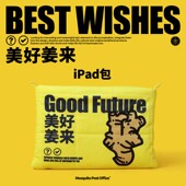 艺术鸭 美好姜来小众原创设计收纳包通勤上班族ipad包充绒防摔w
